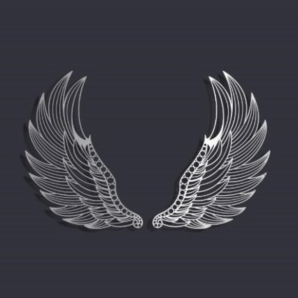 Metal Angel Wings 24x12" Metal Wall Art - new wrapped - Picture 1 of 5